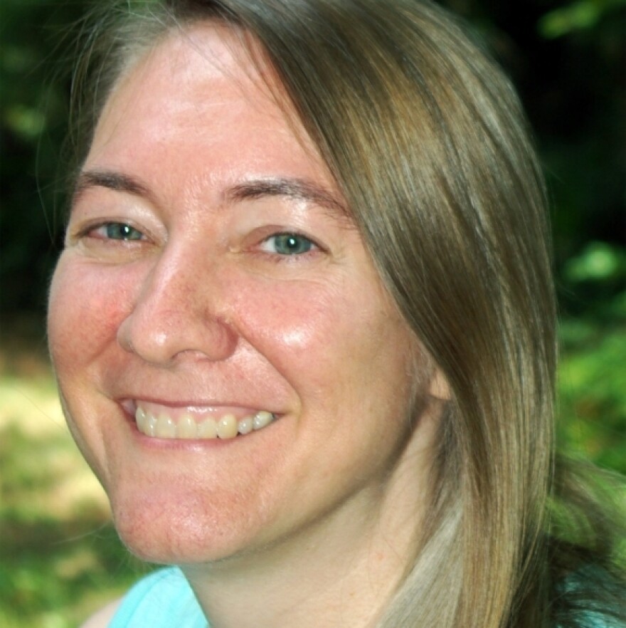 Jennifer R. Hubbard is also the author of a young adult novel, <em>The Secret Year.</em>