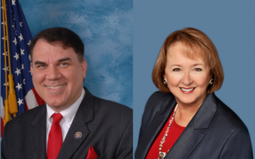 Democrat Alan Grayson and Republican Carol Platt