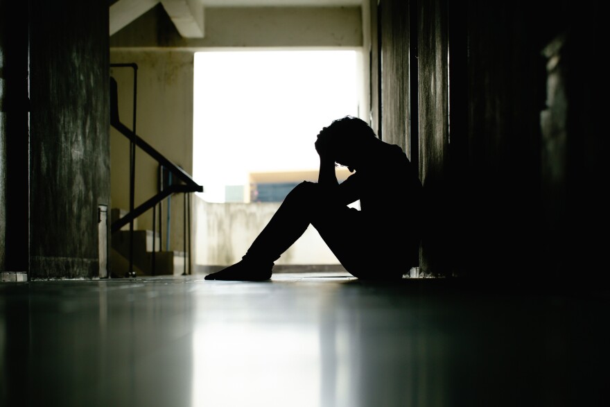 North Carolina's youth are experiencing a mental health crisis.