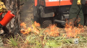 Goethe State Forest Prescribed Burn