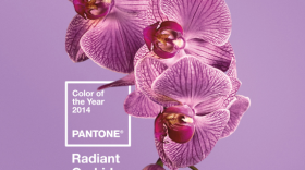 'Radiant Orchid' is Pantone's Color of the Year for 2014.