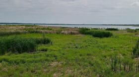 The Emiquon Nature Preserve in Fulton County. The former Havana Power Plant is visible in the distance, across the Illinois River.