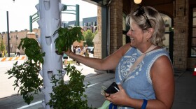 A woman at the Overland Park Farmer's Market purchases herbs from a hydroponic garden.