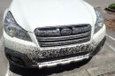 When lovebugs are out during the day, they collide with cars and become smeared on the exterior of vehicles. Pictured is a white Subaru coated with lovebugs streaked across the front bumper and headlights.