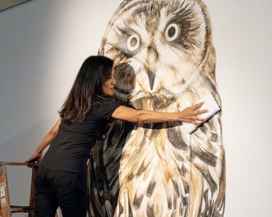 Jana Ireijo is a Hawaiʻi-born visual artist known for her "vanishing murals" made from natural materials.