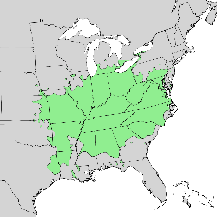 Pawpaws are native to ecosystems south of New York state.