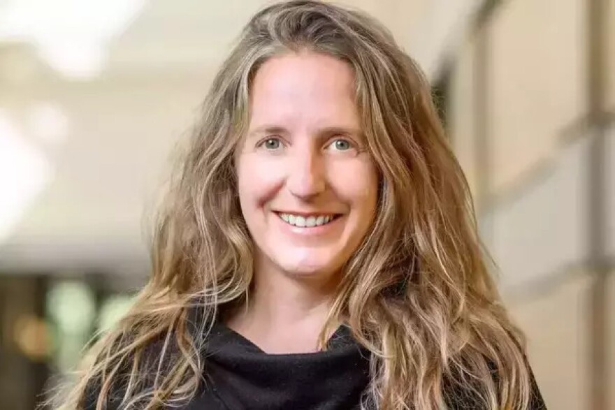 Susan Ostermann, associate professor of global affairs, University of Notre Dame.