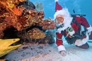 When Santa talks, even these underwater inhabitants listen! They shared their wish lists with Spencer Slate, dressed as Santa Claus, during his visit to Pleasure Reef off Key Largo on Saturday, Dec. 20, 2025. The curious crowd included Peanut, a Goliath grouper, and a giant green moray eel who both seemed to be on their best behavior during Santa’s special holiday visitor to the Florida Keys National Marine Sanctuary.