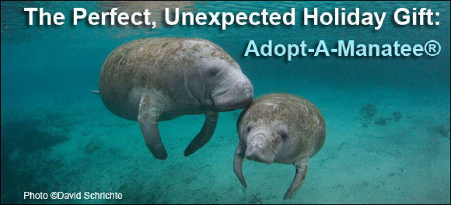 Adopt-A-Manatee