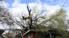 This home on Melrose Avenue in Lexington is one of many damaged by the April 2 storm.