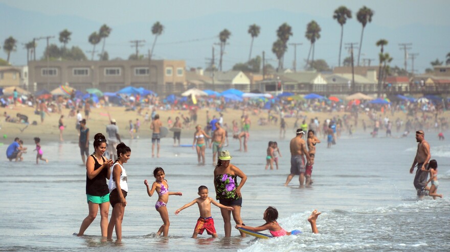 About 16,000 stingrays live along the shoreline of Seal Beach in Southern California, inflicting around 400 injuries each year.