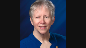 Michigan City Rep. Pat Boy, a Democrat, will be retiring from the legislature after seven years of service.