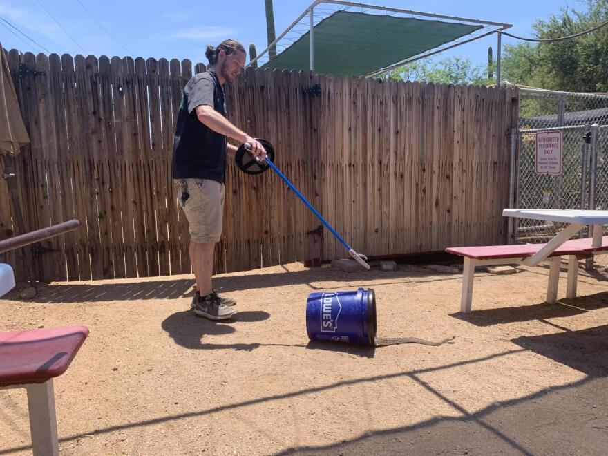 Phoenix Herpitological Society