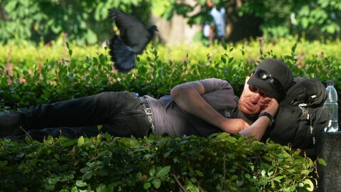A man sleeps in a park in St. Petersburg, Russia, Monday, July 13, 2026.