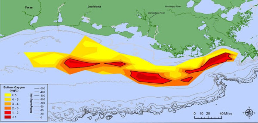 Map of measured Gulf hypoxia zone, July-August 2020.