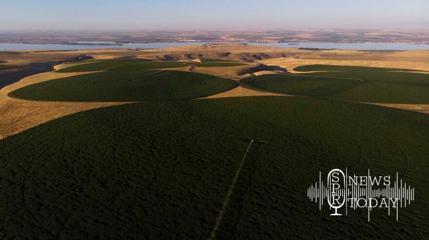 An aerial view of Riverbend Farm is shown on Tuesday, July 19, 2022, in Finley, Wash.
