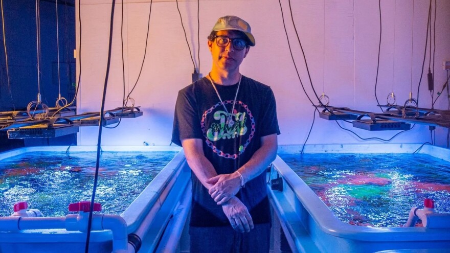 Avey Tare teamed up with Animal Collective bandmate Panda Bear on new single "Vampire Tongues."