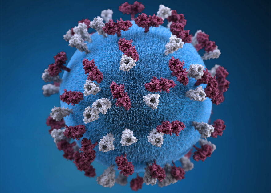 Measles, which was considered eradicated more than 25 years ago, continues to reappear across the United States. Kansas is reporting five measles cases, all associated with out-of-state travel. This is a three-dimensional representation of the measles virus particle.
