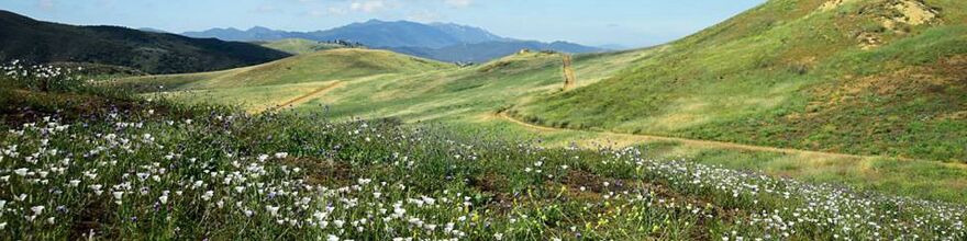 A panoramic photo of a hilly area with wildflowers growing on the slopes. A mountain range is in the background.