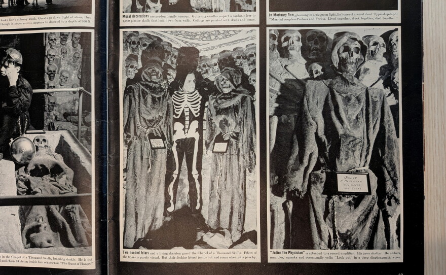 photos show the crypts and skeletons inside the club
