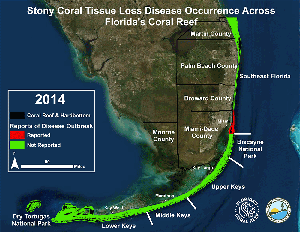  Map of Stony Coral Tissue Disease infections in Florida's Reef Tract between 2014-2021.