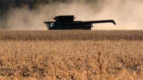 Heath Rohlfing harvests soybeans on his family's farm Wednesday, Nov. 5, 2025, near Boonville, Missouri. (Charlie Riedel/AP)