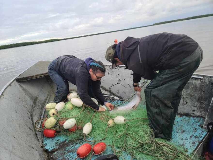 Fritz Charles' family picks a sockeye from the net.