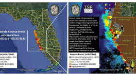 Map of Red Tide