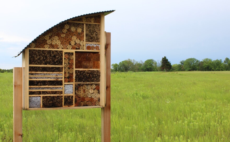 Bee Hotels Give Native Species a Place to Call Home Iowa Public Radio