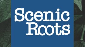 Scenic Roots - Tues 7/07/20