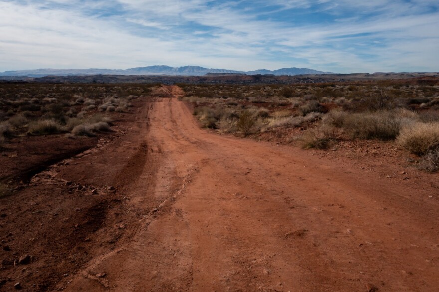 A dirt road cuts through the grassy, desert lands in Washington County. 