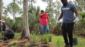  Volunteers get ready to plant trees and shrubs at Larry and Penny Thompson Memorial Park in South Dade