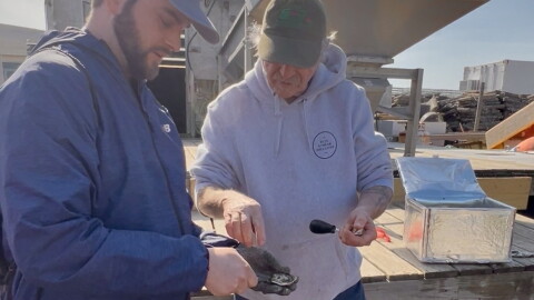 Dale Leavitt, co-owner of West Island Oysters, shows a visitor how to shuck an oyster.