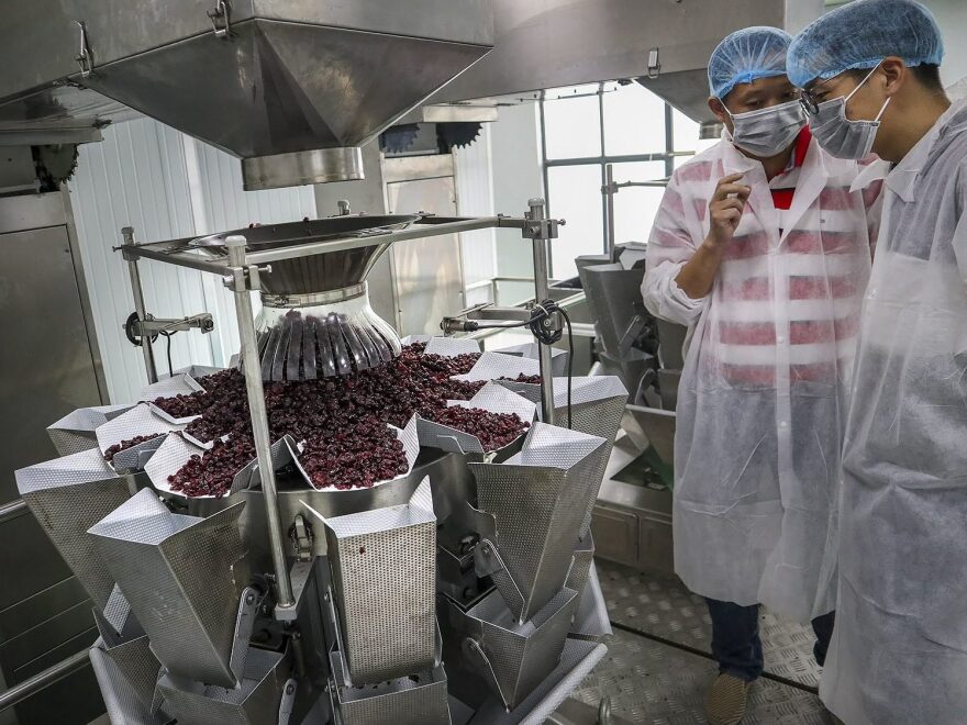 At Karat Farm's manufacturing facility in Taicang, the company takes tons of fruit and repackages it for resale in China. At its peak, the company will process about 2,000 pounds of dried U.S. cranberries per day.