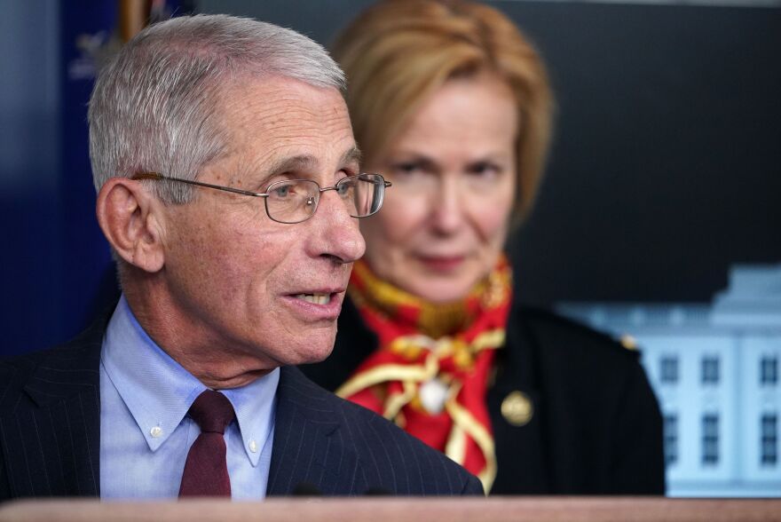 Director of the National Institute of Allergy and Infectious Diseases Dr. Anthony Fauci, left, speaks as Response coordinator for White House Coronavirus Task Force Dr. Deborah Birx looks on during the daily briefing on the novel coronavirus, COVID-19,  at the White House in March.