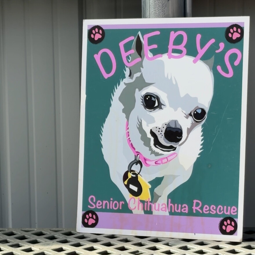 a poster with a stylized picture of a white Chihuahua dog wearing a pink color. Text on the sign reads "Deeby's Senior Chihuahua Rescue"