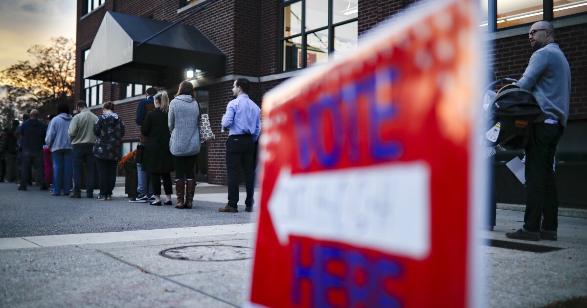Analysis: What is the goal of GOP 'observers' in polling places?