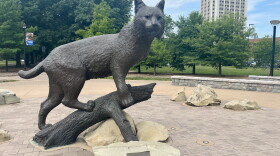 A statue of the University of Kentucky’s mascot, a wildcat named “Bowman,” sits on the campus in Lexington.