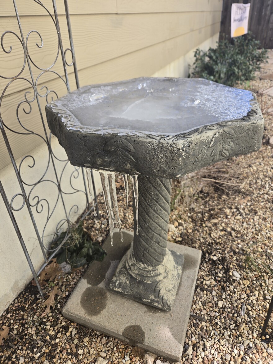 Frozen bird bath at midday at far West Side home on Jan. 26, 2026