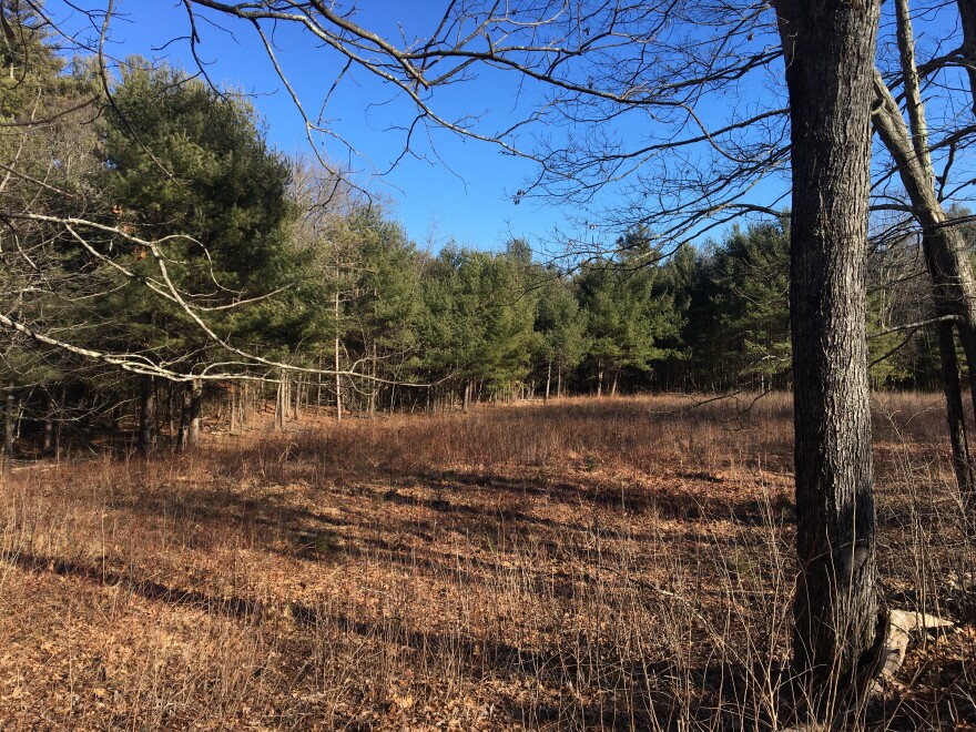 Inside the Quabbin Reservoir in Petersham, Massachusetts.