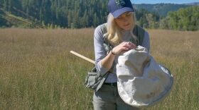 A blonde haired woman stands in a grassy meadow with an insect net. 