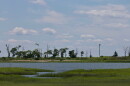 Great Marsh Meadows.