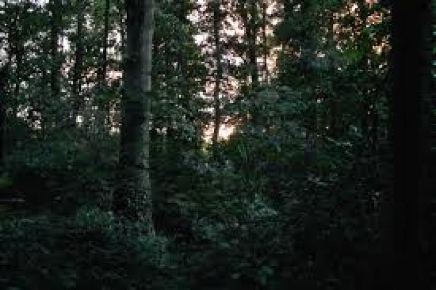 images_7.jpg