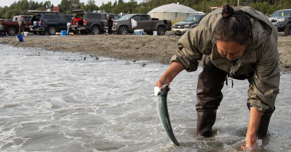 The Anchorage Weekender: Salmon slaying, a wine walk and 9 more local events