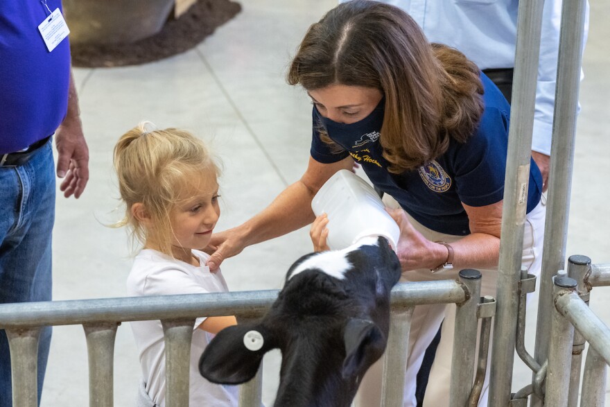 A little blond girl and Kathy Hochul feed milk to a calf.