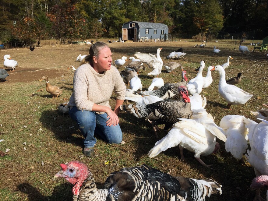 Dana Kee with her heritage-breed birds.