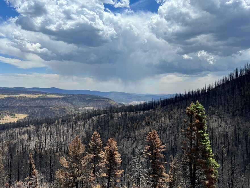 The burn scar of the Hermits Peak-Calf Canyon fire pictured Thursday, June 9, 2022.