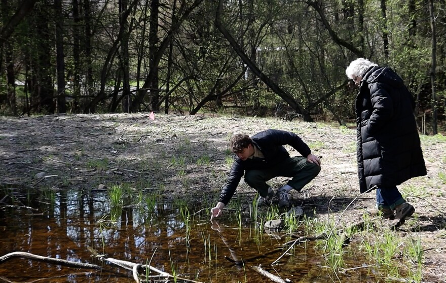 Bryson Coccia, left, and Margot Fass examine amphibian eggs attached to a stick beside one of three man-made vernal ponds they helped build at the Robert C. Corby Arboretum in Pittsford, N.Y.
