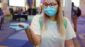 UK's 5th annual Curiosity Fair, set for Nov. 1 in the Gatton Student Center Ballroom, will include a Curious Critters exhibit, where visitors can learn about and even pick up insects like this one.