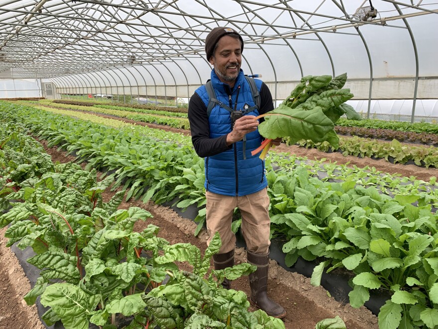 A chef by training, Subarna Sijapati started a two-year apprenticeship in vegetable growing after COVID-19 forced him to close his catering company in Gettysburg.